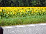 DSCN0322