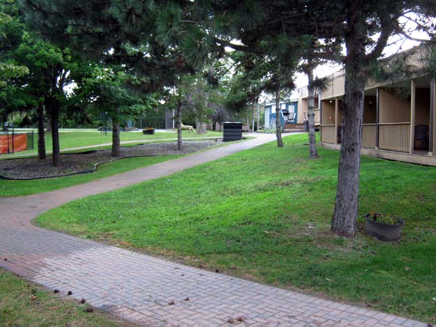 Photo 001